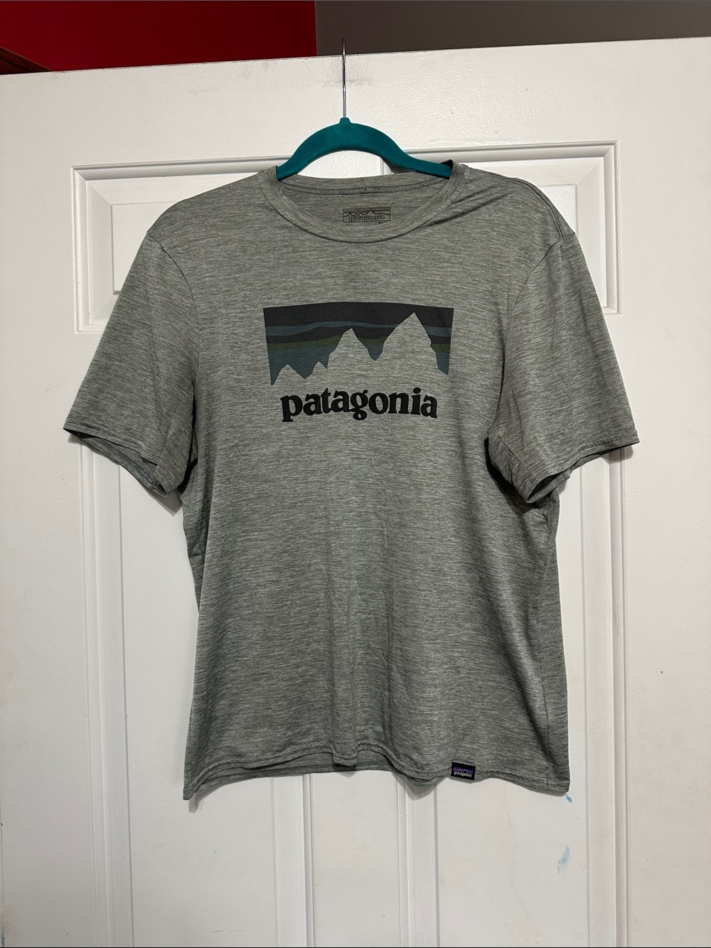 Patagonia tee